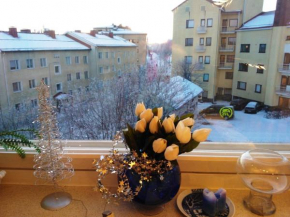 Koskikatu Apartment, Rovaniemi